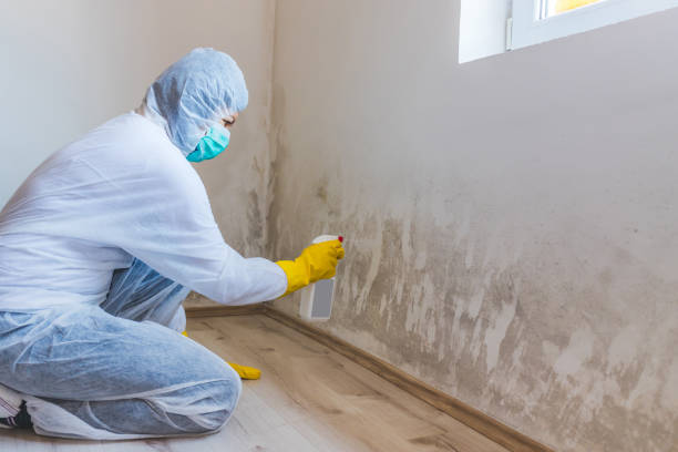 Bathroom Mold Removal assessment in West Newton bathroom